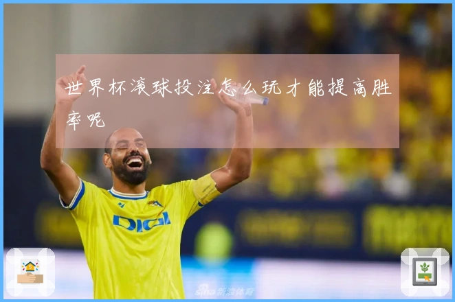 世界杯滚球投注怎么玩才能提高胜率呢