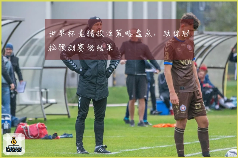 世界杯竞猜投注策略盘点，助你轻松预测赛场结果