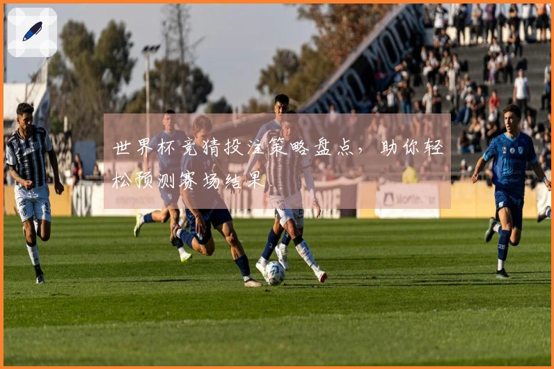 世界杯竞猜投注策略盘点，助你轻松预测赛场结果