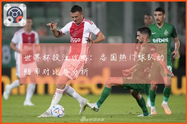 世界杯投注攻略：各国热门球队的赔率对比与分析