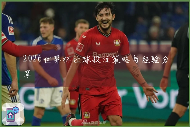 2026世界杯让球投注策略与经验分享