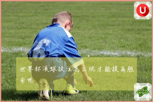 世界杯滚球投注怎么玩才能提高胜率呢