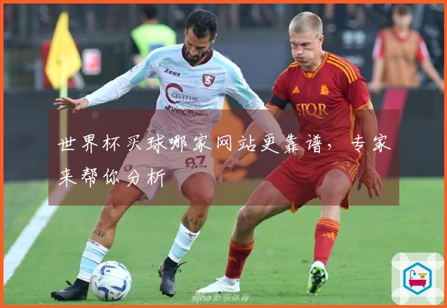 世界杯买球哪家网站更靠谱，专家来帮你分析